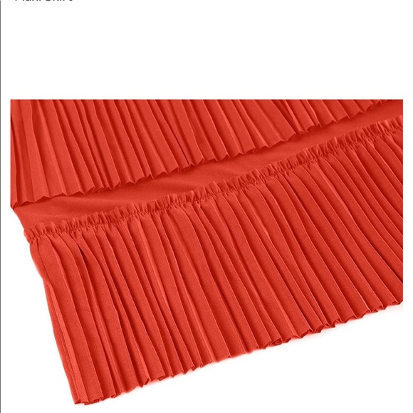 Pleated Ruffle Skirt - Picture 4 of 7